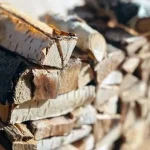 kako-ogrevati-stedilnik-s-surovim-lesom-in-prihraniti-gorivo-nasveti.webp.webp